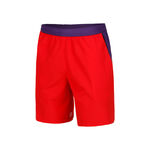 Oblečenie Lacoste Shorts