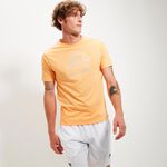 Oblečenie Ellesse Blakeney Tee